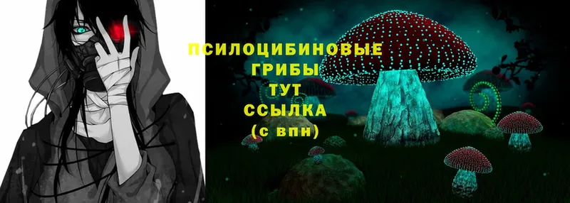 blacksprut ТОР  купить   Александров  Галлюциногенные грибы Psilocybine cubensis 